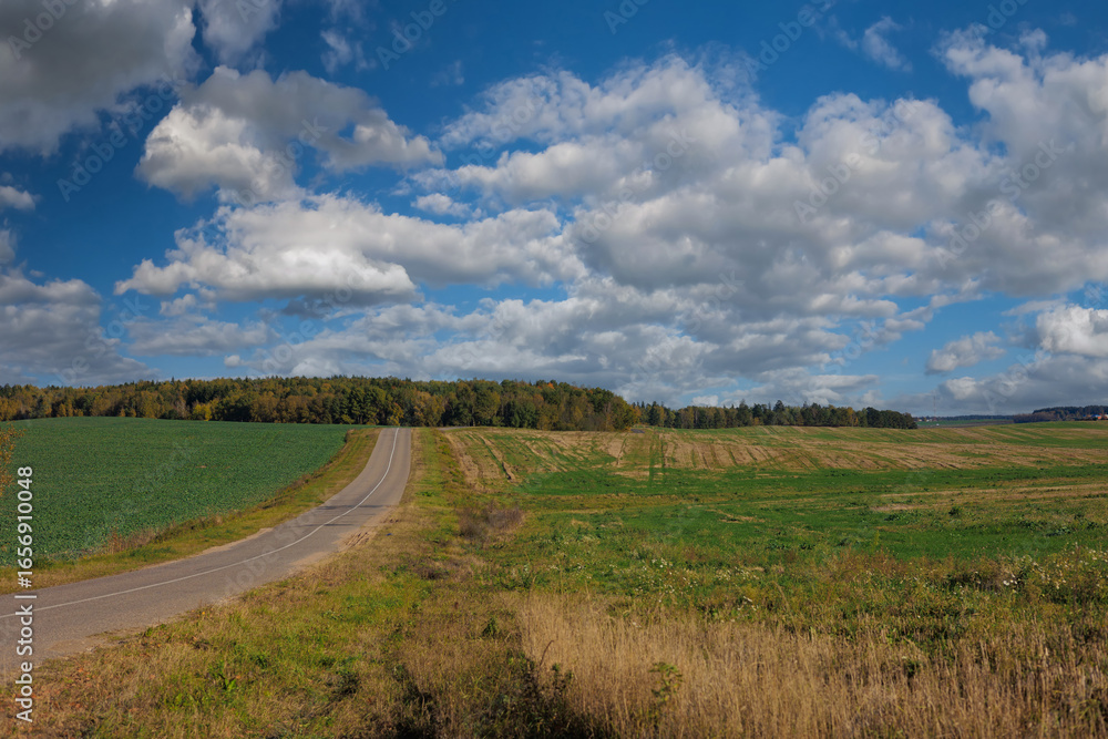 Obraz premium Autumn landscape and sunny evening, orange road and highway, asphalt and roadside.