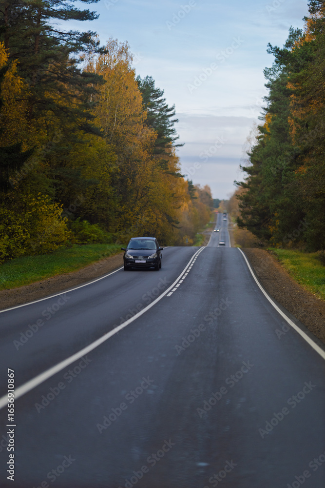 Fototapeta premium Autumn landscape and sunny evening, orange road and highway, asphalt and roadside.