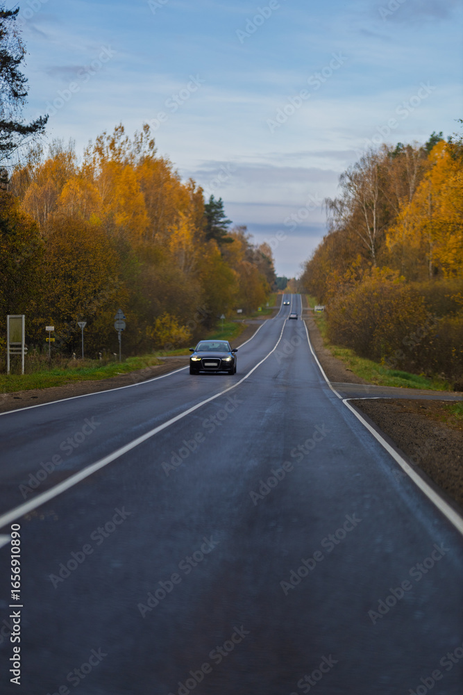 Fototapeta premium Autumn landscape and sunny evening, orange road and highway, asphalt and roadside.