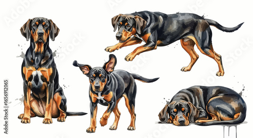 Watercolor dog illustration “Gunner” pet portrait isolated on white background