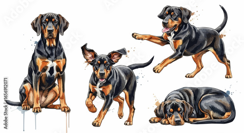 Watercolor dog illustration “Gunner” pet portrait isolated on white background