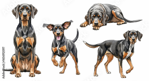 Watercolor dog illustration “Gunner” pet portrait isolated on white background