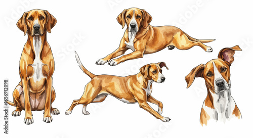 Watercolor dog illustration “Gunner” pet portrait isolated on white background