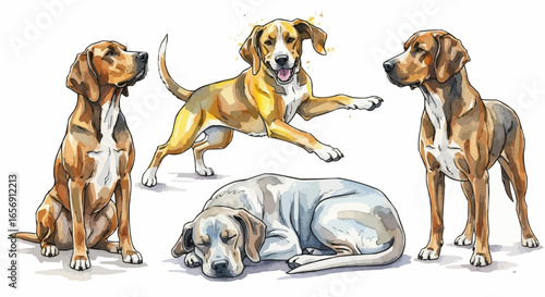 Watercolor dog illustration “Gunner” pet portrait isolated on white background