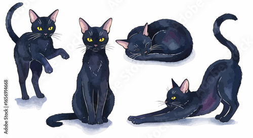 Watercolor cat illustration “Luna” pet portrait isolated on white background