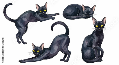 Watercolor cat illustration “Luna” pet portrait isolated on white background
