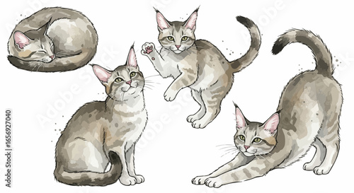 Watercolor cat illustration “Willow” pet portrait isolated on white background