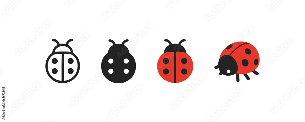 Fototapeta premium Ladybug evolution: line to flat design showing transformation stages