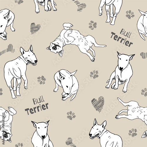 Sketch-style bull terriers in various poses on beige background. Ink-like detailed drawing with subtle hearts, bones, paw prints.