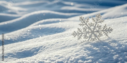 Wallpaper Mural Snowflake Sparkle Winter Scene on Fresh Snow Torontodigital.ca