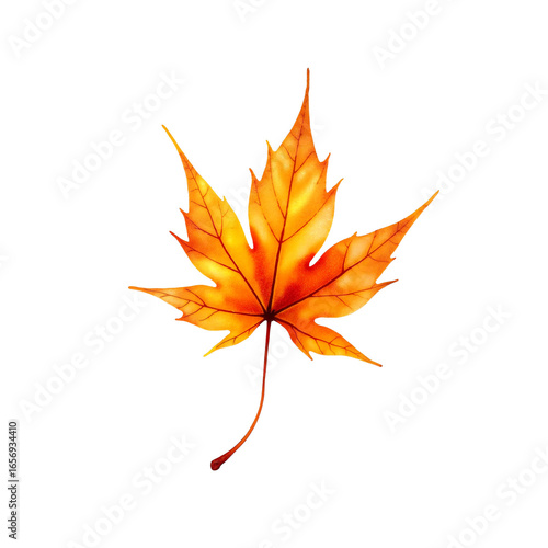 Orange maple leaf on white background in autumn style  