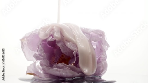 Wallpaper Mural Beautiful Tulip flower open on a Rotating mirror table. Gel Fluid, Serum, Oi Cosmetic Dripping onto a Tulip. Macro Shot of Natural Organic Cosmetics. Skin or Body Care Products. Advertising. 4k Torontodigital.ca