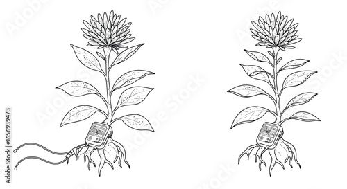 Detailed botanical drawing of digital flowers with electronic roots