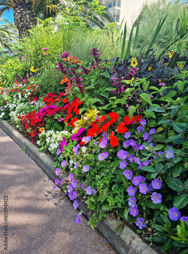 Massif végétalisé, fleuri de vivaces et annuelles en ville. Biodiversité urbaine, aménagement paysager durable, fleurs mellifères pour pollinisateurs : bégonia, sauge, impatience, géranium coléus