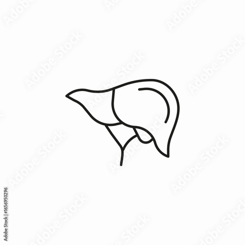 liver bile ducts icon sign vector