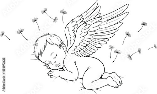 Sleeping baby angel with wings and dandelion seeds, peaceful newborn sketch illustration for nursery, memorial, baby shower, and spiritual themes.
