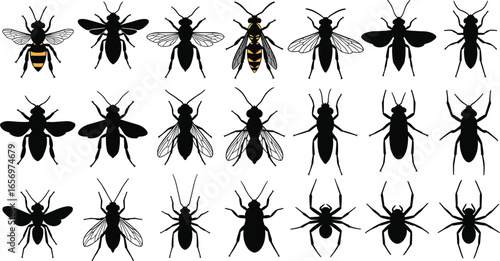 Insect silhouette collection. Set of bees, wasps, flies, ants, and spiders in black and vector outline. Entomology illustration.