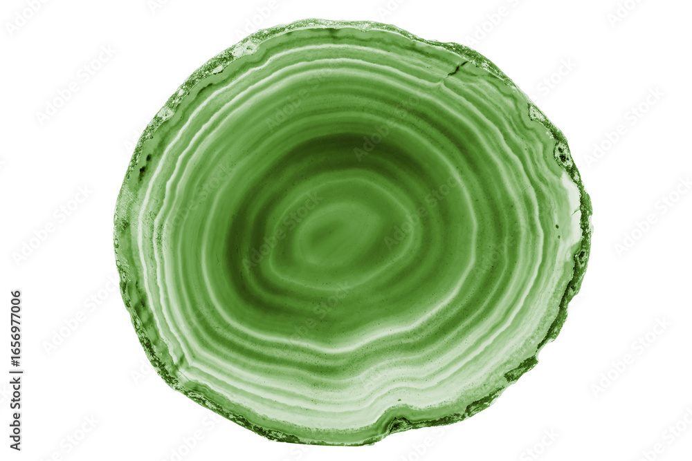 Obraz premium A painted Green agate slice with white veins on a white background highlights nature’s beauty. Its layered structure makes it a stunning natural decor piece.