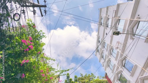Looking Up at a City Street with Power Lines, Buildings, and Trees
