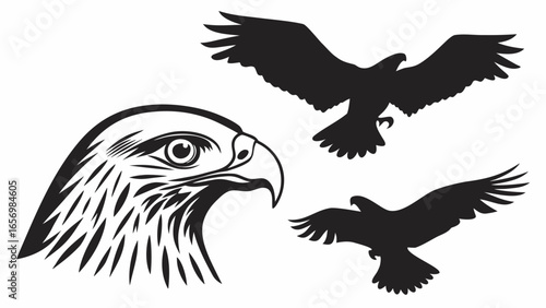 Illustration of an eagle head and two eagle silhouettes in flight with spread wings and sharp talons