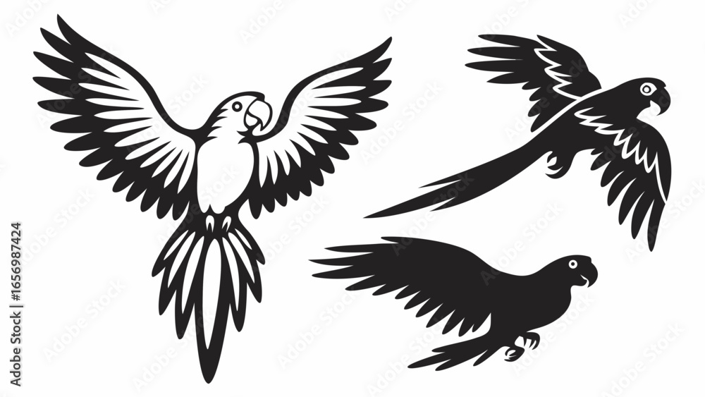 Fototapeta premium Three black and white parrots in different flying poses with wings spread and detailed feathering design