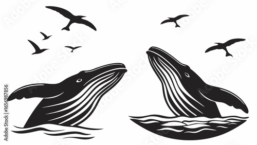 Two whales breaching the water with birds flying above in a monochrome vector illustration style