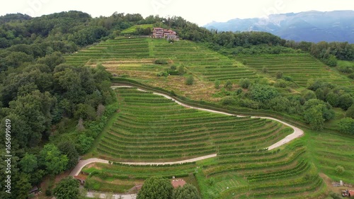 Drone view of Lombardy vineyard and rolling green hills, scenic countryside landscape ideal for travel, wine, lifestyle and tourism marketing
