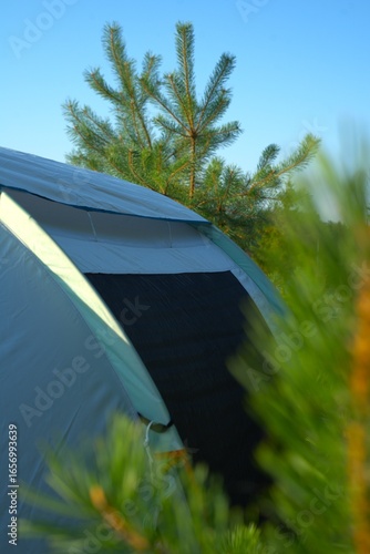 A close-up of a camping tent set up outdoors with a green pine tree in the background. The image captures a peaceful outdoor camping environment with clear skies and a nature-filled setting.