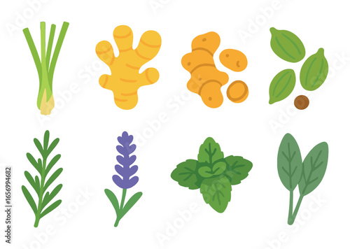 Exotic Herbal Icons. Flat vector mini-illustrations exotic magical herbs in colors children's illustrations: