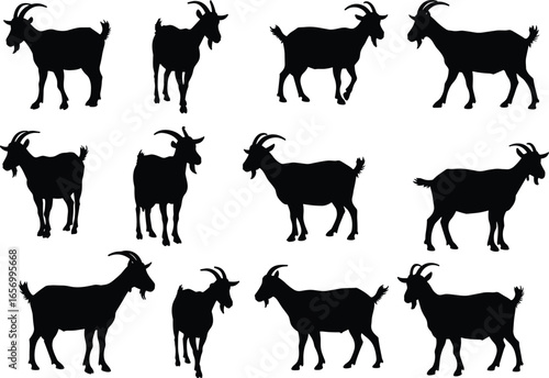goat silhouette collection, farm animal vector illustration, livestock graphic design, black goat shape, rustic agriculture artwork