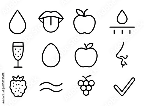 Cider Tasting Icons Grid. Outline icon set of cider tasting notes symbols: sweet drop, tart tongue, crisp icon
