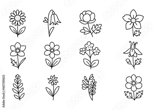 Alpine Flower Icons. Outline icon set of flowering alpine plants: mountain daisy, bellflower, globe flower,