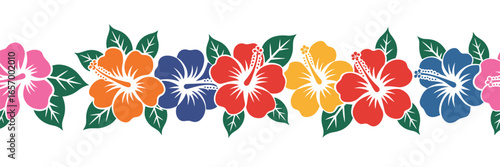 A colorful hibiscus flower border with pink orange blue red and yellow blossoms on a white background