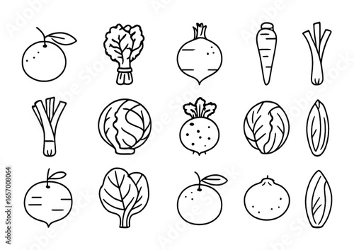 Winter Produce Icons. Outline vector icons of winter seasonal produce: clementine, kale bunch, rutabaga,