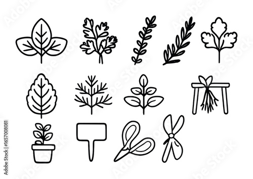 Herb Garden Icon Set. Outline vector icons of herb garden essentials: basil leaf, parsley bunch, thyme sprig,