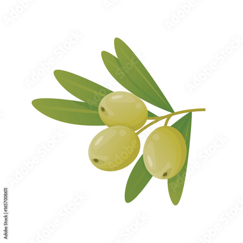 Branch of olives in flat detailed style. Isolated vector illustration of natural food ingredient for Italian cuisine menu, advertisement designs