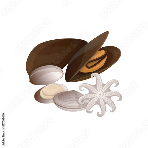 Seafood vector illustration of clams, mussels, octopus in flat detailed style. Isolated set of marine food ingredients for menu, advertisement design