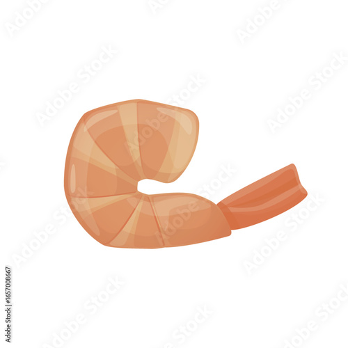 Seafood vector illustration of shrimps in flat detailed style. Isolated marine food ingredient for menu, advertisement design