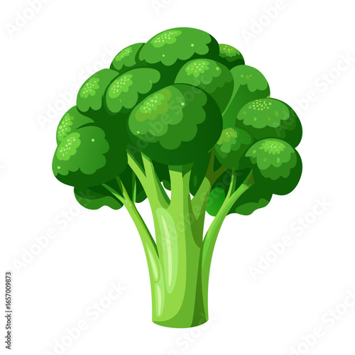 broccoli isolated on white background
