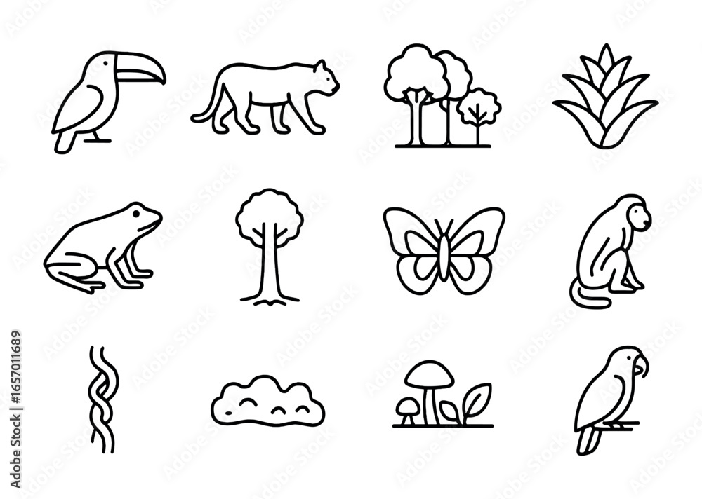 Naklejka premium Rainforest Biodiversity Icons. Outline icon set of rainforest biodiversity: toucan, jaguar, canopy layer,
