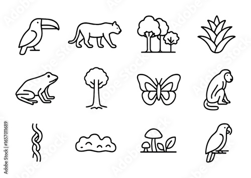 Rainforest Biodiversity Icons. Outline icon set of rainforest biodiversity: toucan, jaguar, canopy layer,