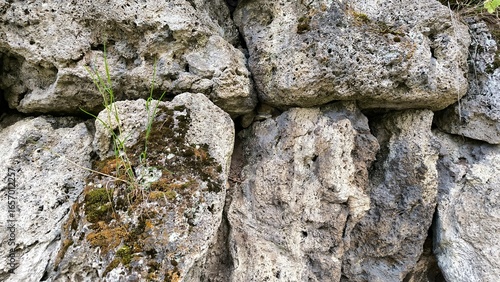 Podobny obraz