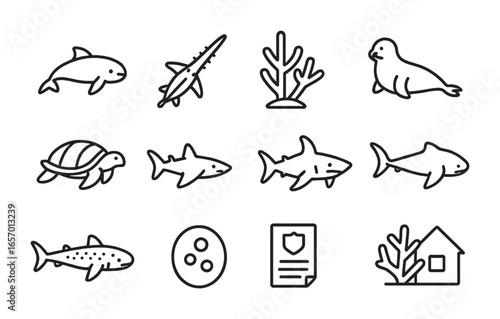 Endangered Marine Species Icons. Outline icon set of endangered marine species: vaquita, sawfish, staghorn