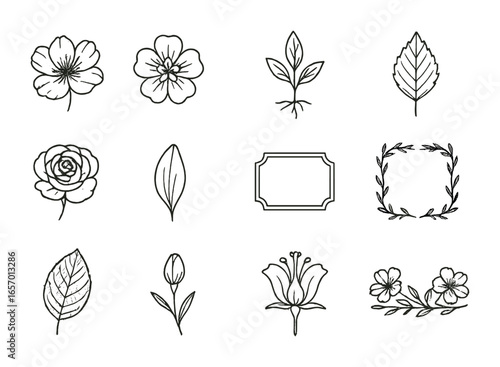 Botanical Illustration Icons. Outline icon set of botanical illustration elements: ink flower, cross-section
