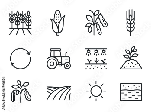 Sustainable Farming Icons. Outline icon set of sustainable crop rotation: wheat field, corn stalk, soybean
