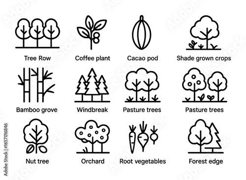 Agroforestry Icon Grid. Outline icon set of agroforestry systems: tree row, coffee plant, cacao pod,
