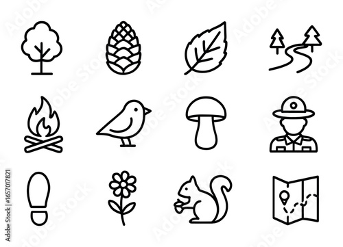 Forest Icons Grid. Outline icon set of forest preservation lessons: tall tree, pine cone, fallen leaf, hiking