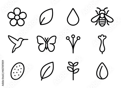 Floral Nectar Icons. Outline icon set of floral nectar production: flower, petal, nectar drop, bee,