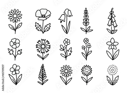 Wildflower Icon Set. Outline icon set of wildflowers: daisy, poppy, bluebell, lupine, buttercup, cornflower,