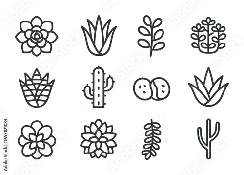 Succulent Icon Grid. Outline icon set of succulent arrangement: echeveria rosettes, aloe spikes, jade plant,